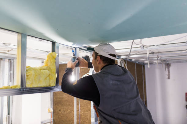 Best Blown-in Insulation  in Eureka, CA