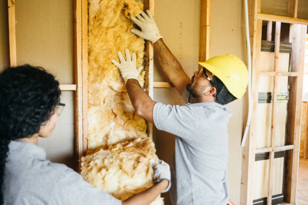 Best Insulation Contractors for Homes  in Eureka, CA
